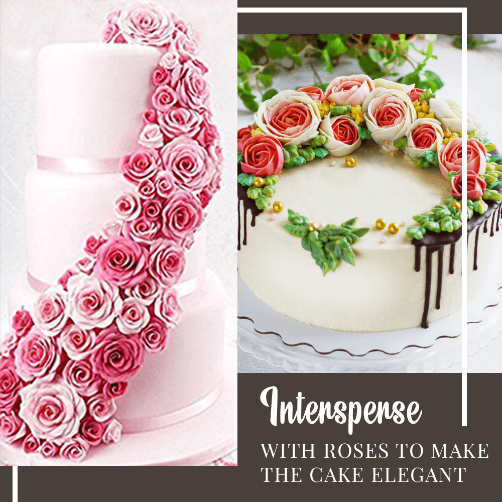 Snugvego 5 Essential Pastry Tools